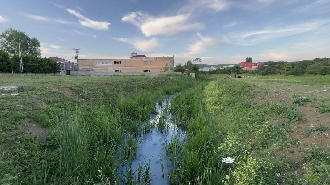 İstanbul'un o mahallesinde büyük panik! Korkunç manzarayı gören istifra etmeye başladı! 10